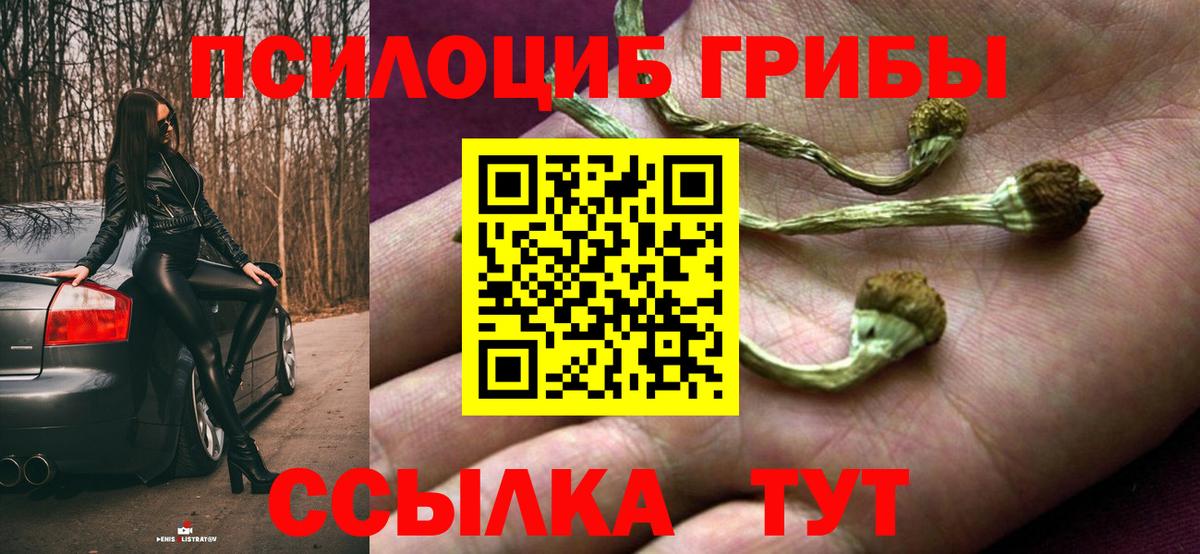 Псилоцибиновые грибы мицелий Сердобск